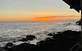 Oceanfront Delight